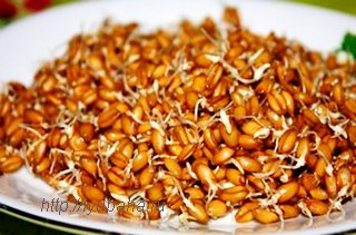 польза пророщенной пшеницы